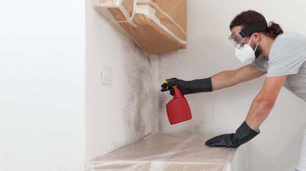 Professional Crawl Space Mold Removal technician working in Hastings, MN